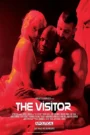 The Visitor